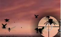 play Engage Shooter
