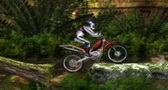 play Bike Mania Reborn