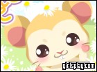 play Hamster Care