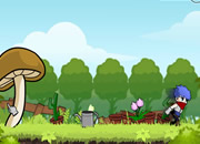 play Konchi