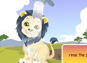 play Lion Care
