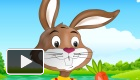 play Rabbit Dress Up