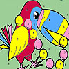 play Pearl Parrot Coloring