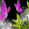 play Beautiful Garden Butterflies Puzzle