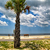 play Jigsaw: Beach Tree