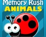 Animal Memory Rush