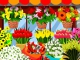 play Cde Flower Shop