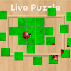 play Live Puzzle