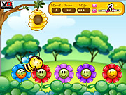 play Bee Amass