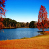 play Jigsaw: Lake Autumn