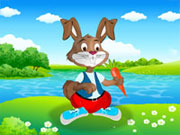 play Rabbit Dress Up