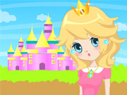 play Princess Peach Castle