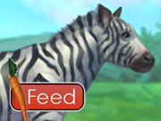 play Feed Zebra