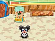 play Mouse Home