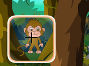 play Monkey Hidden