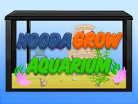 play Hooda Grow Aquarium