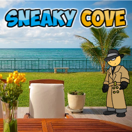 play Sneaky Cove