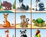 play Animals Puzzle