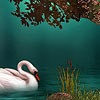 play Fantastic Night Swans Puzzle