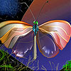 play Transparent Butterfly Slide Puzzle