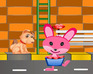 play Rabbit Kiss Catch