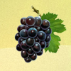play Grapes