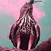 play Flying Red Eyes Puzzle