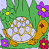play Funny Sea Turtle Coloring