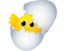 play Chicken Hatch