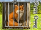 play Lucky Fox