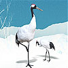 play Black Storks And Snows Slide Puzzle