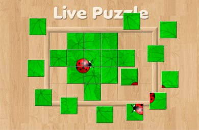 play Live Puzzle