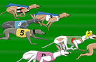 play Greyhound Racer