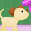 play Pet Caring Fun