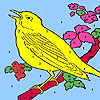 play Yellow Hungry Canary Coloring