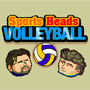 play Sports Heads: Volleyball