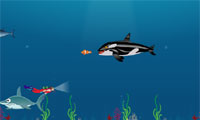 play Underwater Journey