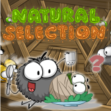 play Natural Selection