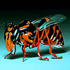 play Orange Bee Slide Puzzle