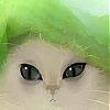 play Green Hat And Cat Slide Puzzle
