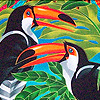 Parrots In The Jungle Puzzle