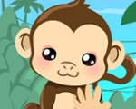 play Monkey Care