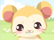 play Hamster Care