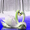 play Love Swans In The Lake Slide Puzzle