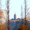 play Jigsaw: Buddhist Temple