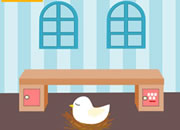 play Hide And Seek 8