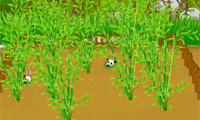 play Panda Wild Farm