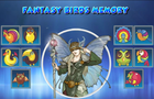 play Fantasy Birds Memory