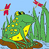play Frog And Dragonflies Coloring