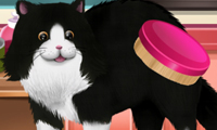 play Paws To Beauty 2